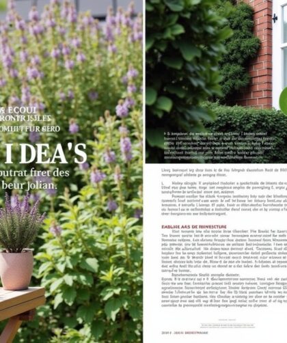 Maisondejulien.fr : astuces indispensables pour votre maison, décoration et jardin