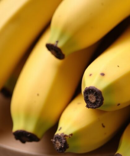 Banane noire : tout savoir sur sa consommation, ses bienfaits et ses risques