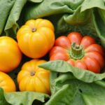 Primeur à Villetaneuse : légumes frais, locaux et de saison à découvrir