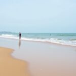 Comporta Portugal 2025 : guide ultime des plages paradisiaques et activités incontournables