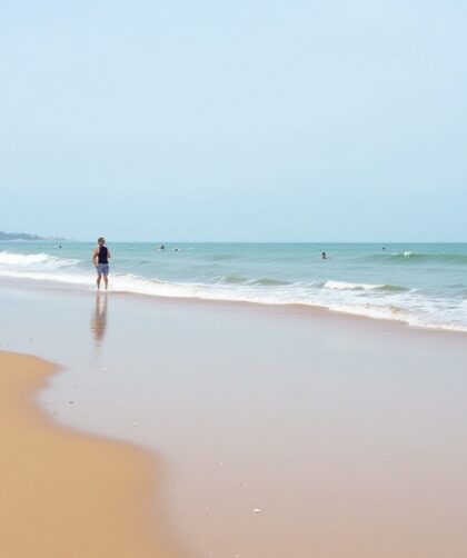 Comporta Portugal 2025 : guide ultime des plages paradisiaques et activités incontournables