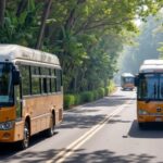 Guide complet pour se déplacer à Bali : solutions de transport pratiques et sécurisées
