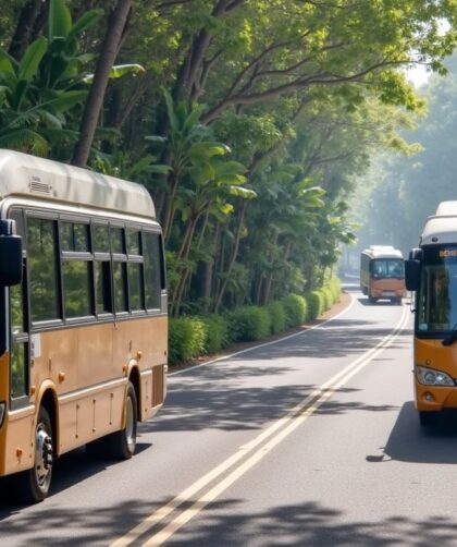 Guide complet pour se déplacer à Bali : solutions de transport pratiques et sécurisées