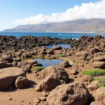 Découvrez le Musée Lagomar de Lanzarote : un voyage au cœur d'une histoire fascinante et de jardins exceptionnels