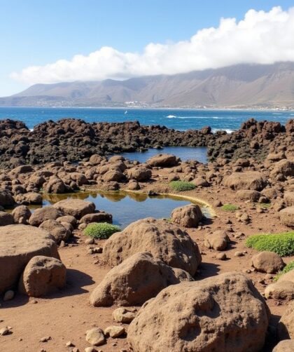Découvrez le Musée Lagomar de Lanzarote : un voyage au cœur d'une histoire fascinante et de jardins exceptionnels