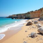 Découverte de la plage de Canella en Corse : un écrin de sable fin et d’eaux translucides